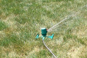 Sprinkler on dry grass.