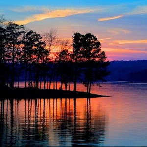 Photo of trees reflecting on water at sunset.