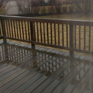 My backyard and part of the deck on a rainy day.