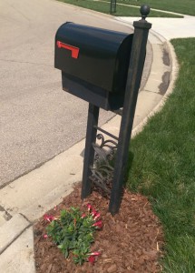 Mandevilla with red flowers next to my mailbox.