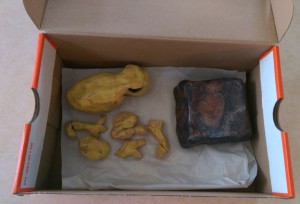 Pieces of a yellow ceramic frog in a shoebox along with a rock for its base.