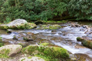 Stream flowing through mossy rocks.