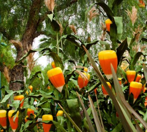 Cornfield with candy corn decorations.