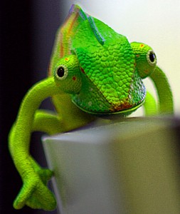 Front view of a mostly green chameleon.