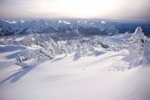 Landscape with snow-covered trees and hills.