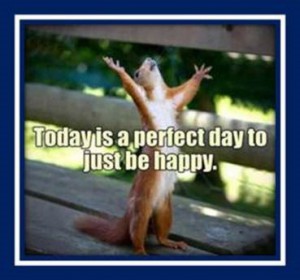 Word-art with a squirrel saying "Today is a perfect day to just be happy."