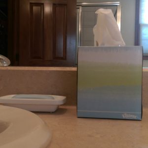 Kleenex tissues in a blue, green, and white box on my bathroom counter.