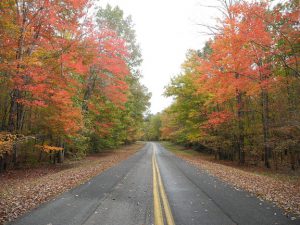 Straight road with colorful autumn trees on each side.