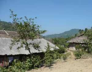 Homes with thatched roofs in a peasant village.