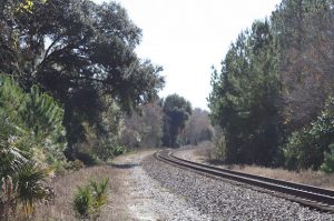 Empty railroad tracks going around a curve.