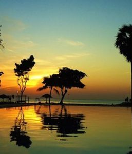 Trees at the shore and golden clouds in Sri Lanka.