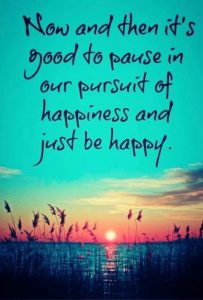 Word-art that says "Now and then it's good to pause in our pursuit of happiness and just be happy."