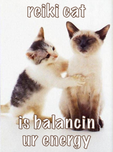 Cat picture that says "Reiki cat is balancin ur energy."