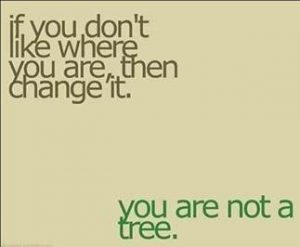 Word-art that says "If you don't like where you are, then change it. You are not a tree."