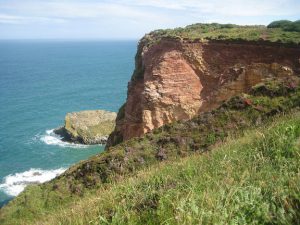 Grassy path leading up to the top of a cliff.