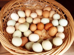 Farm-fresh eggs in a basket.