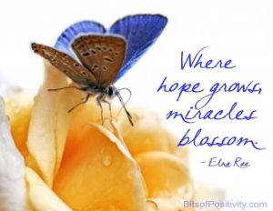 Word-art that says "Where hope grows, miracles blossom." -Edna Rae