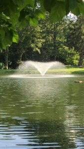 Pond fountain with green trees in background.