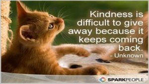 Cat picture word-art that says "Kindness is difficult to give away because it keeps coming back."