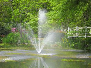 Fountain in a garden pond.