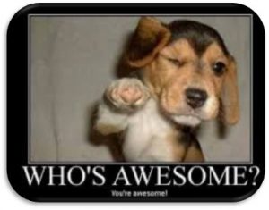 Word-art with a dog that says "Who's awesome? You're awesome!"