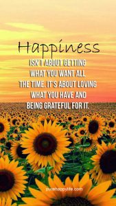 Word-art that says "Happiness isn't about getting what you want all the time. It's about loving what you have and being grateful for it."