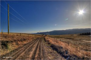 Rutted road bordered by telephone poles and fences.