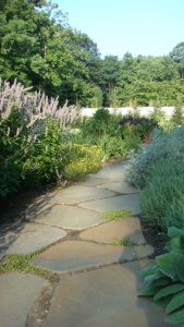 Flagstone path through a perennial garden.