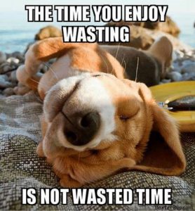 Word-art that says "The time you enjoy wasting is not wasted time."