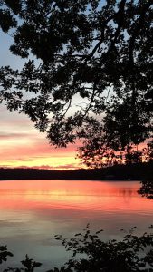 Sunset over water with tree branches.