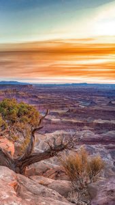 Dry, lonely canyon under an orange sunset.