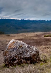 Boulder in a field on a cloudy day.