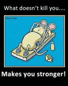 Word-art with a mouse exercising on a mousetrap that says "What doesn't kill you makes you stronger."