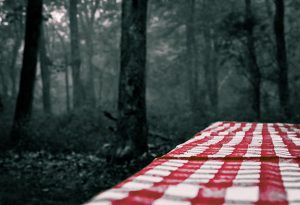 Picnic table with red and white tablecloth on a cloudy day, with dark trees behind it.