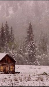 Cabin in a snowy, foggy woods.