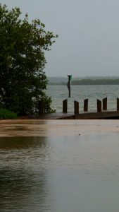 Photo of dock on river with high water.