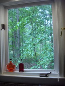 Photo of trees outside a square kitchen window.