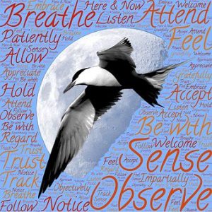 Word-art with a bird, the moon, and words like "Observe" and "Breathe."