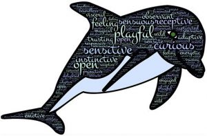 Word-art with a dolphin and words like "Playful" and "Curious."