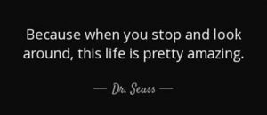 Word-art that says "Because when you stop and look around, this life is pretty amazing," -Dr. Seuss