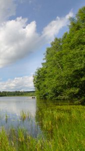 Lake in Finland