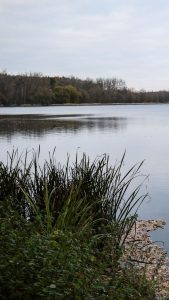 Still water on a cloudy autumn day.