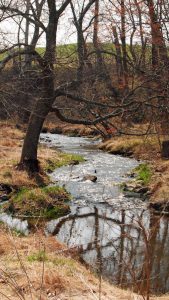 River in winter with brown grass and budding trees.