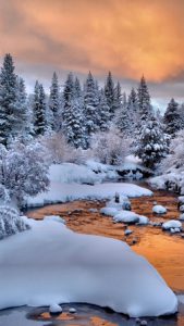 Photo of a winter sunset with gold clouds reflecting from ice.