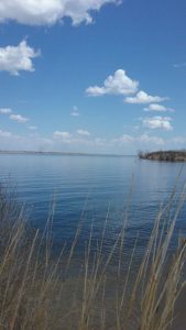 A lake in winter with tall brown grass in the foreground.