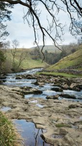 Shallow river with bare trees.