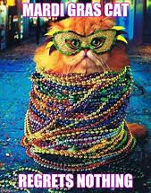 Word-art with a cat tangled in beads that says "Mardi Gras Cat Regrets Nothing."