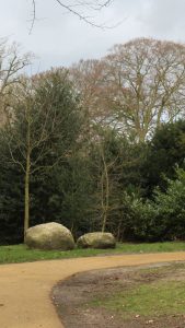 Photo of a dusty yellow walkway with grass, boulders, and trees in the background.