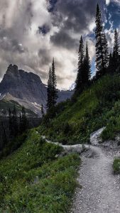 Stony trail on a mountainside with dark clouds and spring flowers.