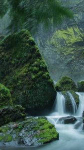Waterfall photo with mossy rocks.